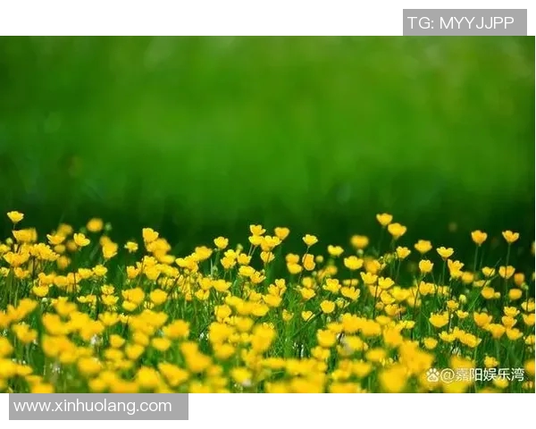 侯活：探索生命的多样性与活力的无限可能