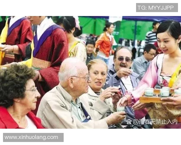 斯通斯乐队的音乐传奇与文化影响力探讨之旅