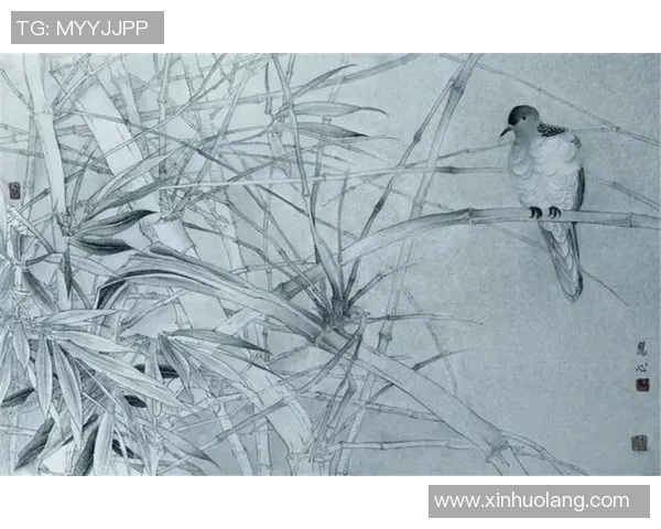 徐昕的艺术之路探寻与创作理念的深度剖析与反思